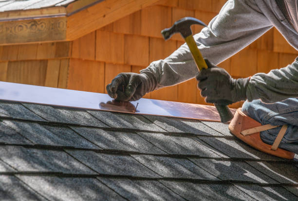 Roof Moss and Algae Removal in Loudoun Valley Estates, VA